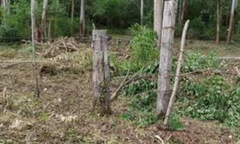 Imagem 4: Linda ares de 15 hectares