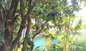 Imagem 5: Porto Alegre - Apartamento Padrão - Petrópolis