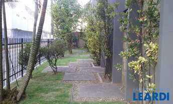 Imagem 5: COMERCIAL - LIMÃO - SP