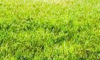 Imagem 5: Terreno à venda, 1500 m² por R$ 1.800.000 - Centro - Itanhaém/SP