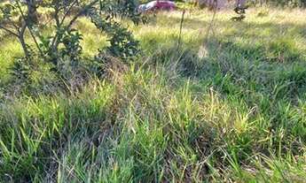 Imagem 4: Terrenos à venda em Mairiporã/SP - Compre o seu terrenos aqui!