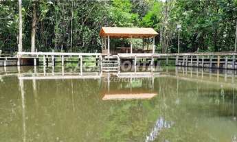 Imagem 14: Fazenda no Pará - Santa Maria - 312 ha (64 alq