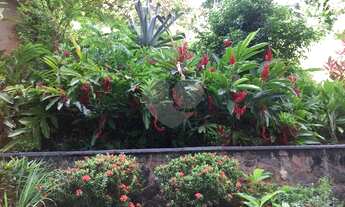 Imagem 4: Apartamento 2/4, 1 Banheiro,1 Vaga de Garagem Coberta na Graça