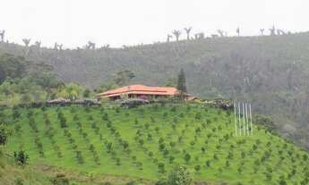 Imagem 7: Fazenda/Sítio/Chácara para venda com 968000 metros quadrados com 40 quartos