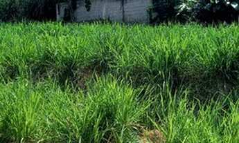 Imagem 6: Lote/Terreno para venda com 103 metros quadrados em Campo Grande - Rio de Janeiro - RJ