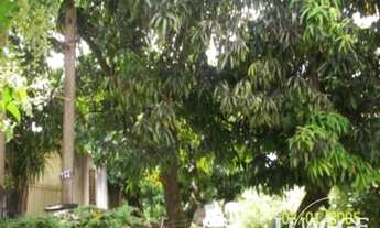 Imagem: Porto Alegre - Terreno Padrão - Camaquã