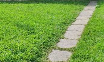 Imagem: Araruama - Casa Padrão - Bananeira