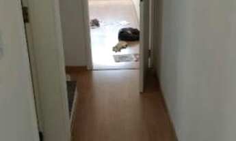 Imagem 7: Apartamento à venda, 2 quartos, 1 vaga, Vila Vermelha - São Paulo/SP