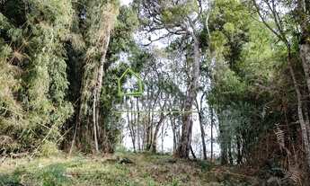 Imagem 5: RANCHO QUEIMADO - SC LINDO Terreno com 10 HECTARES com NASCENTE