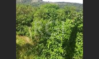 Imagem 6: Porto Alegre - Terreno Padrão - Aberta dos Morros/ Altos do Santa Rita