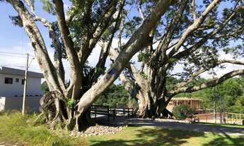 Imagem 7: Lote em condomínio à venda, Bella Vittà - Jundiaí/SP