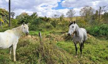 Imagem 4: Fazendinhas de 20.000m² com total segurança com acesso direto pela Rod. MG 323