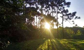 Imagem: Área à venda, 2072 m² por R$ 2.000.000,00