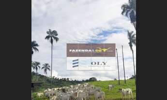 Imagem 5: Fazenda para Pecuária ! Região de Campinaçu ! 143,5 Alqueires !