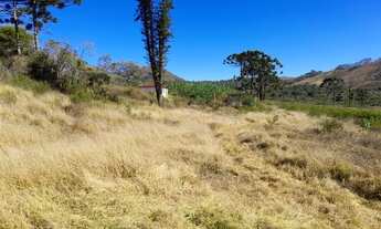 Imagem 6: Fazenda 62 alqueires Bom Jardim-MG