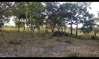 Imagem 5: Vendo lotes no lago Serra da mesa