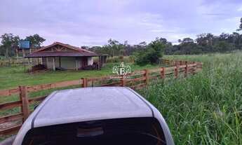 Imagem 5: Porto Velho - Sítio - BR364