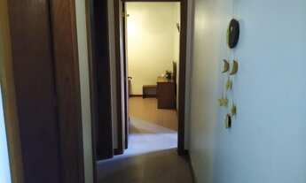 Imagem 7: Viamão - Sítio - Taruma