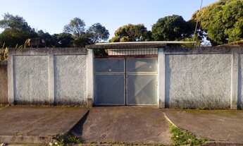 Imagem 3: Chácara com Casa e Várias Plantações Watssap