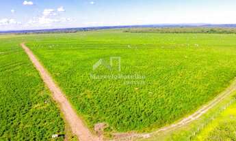 Imagem 3: Fazenda em Rosário Oeste-MT - Dupla Aptidão