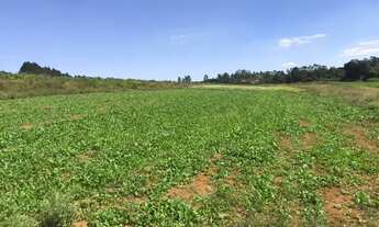 Imagem 3: Lote/Terreno para venda possui 600 metros quadrados em Centro - Ibiúna - SP