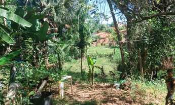 Imagem 3: Lote Sítio novo do Tocantins