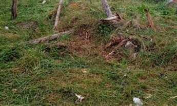 Imagem 3: Terreno 5 x 15 linha azul Macaé rj