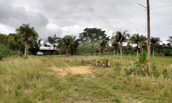 Imagem 5: Vende se sítio no rio preto da Eva