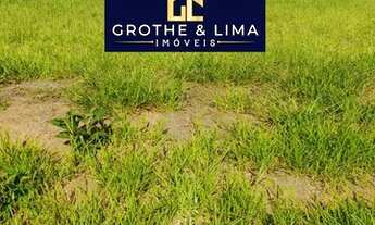 Imagem 4: Terreno reserva do vale Caçapava