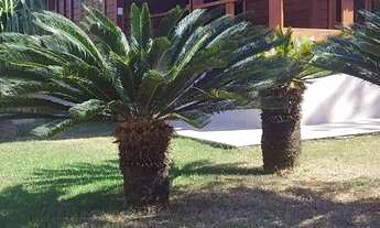 Imagem 5: Lagoa Santa - Casa de Condomínio - Condomínio Vivendas