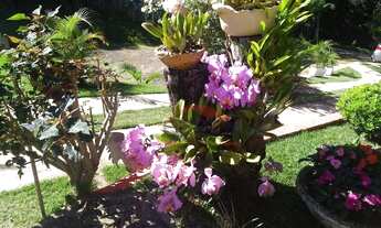 Imagem 4: Sitio em Caeté Fazenda / sítio com venda por R$850.000