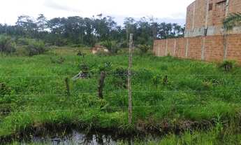 Imagem: Vendo lotes na ilha de Barra grande