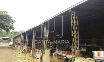 Imagem 2: Salão/Galpão (salão - térreo