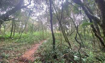 Imagem 3: Sítio Itatiaiuçu - 6.000M²