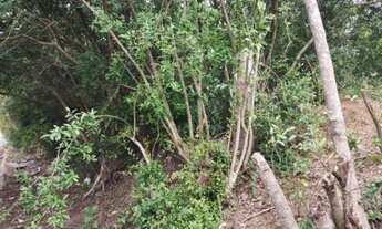 Imagem 7: Porto Alegre - Terreno Padrão - Serraria