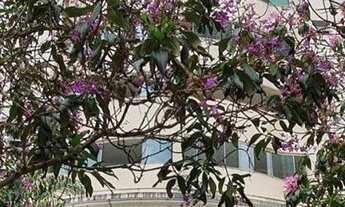 Imagem 1: Goiânia - APARTAMENTO PADRÃO - Setor Bueno