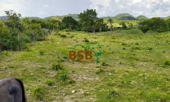 Imagem 5: Fazenda 34alq em Monte Alegre/GO - Pecuária e Piscicultura