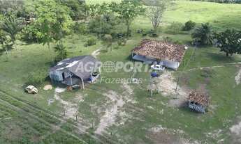 Imagem 6: Fazenda no Pará - Tomé-Açu - 798 ha (165 alq