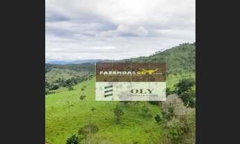 Imagem 2: Fazenda para Pecuária ! Região de Campinaçu ! 143,5 Alqueires !