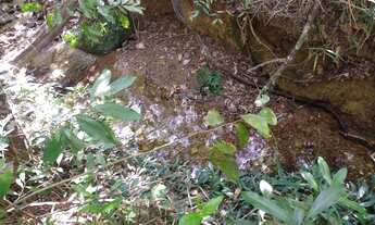 Imagem 2: Sítio 35 Hectares - Município de Santo Antônio do Desc. GO