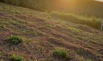 Imagem 4: Oportunidade de você obter um terreno direto com o proprietário em Cotia
