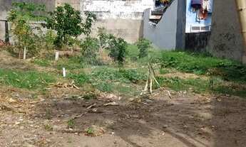 Imagem 3: Magnífico terreno, juntinho a Rua Barreiros