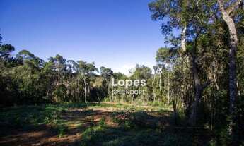 Imagem 6: Terreno à venda, 16850 m² por R$ 650.000,00 - Centro (Canguera) - São Roque/SP