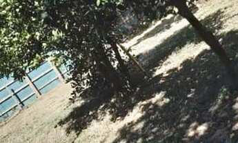 Imagem 7: BARBADA!!! Sítio c/casa as margens da RS040