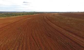 Imagem 6: Fazenda com 55,7 alqueires para lavoura no município do Prata/MG