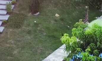 Imagem 5: Chácara em Cantagalo Rio das ostras