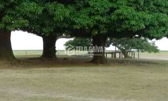 Imagem 4: Chácara beira da baia de Chacororé