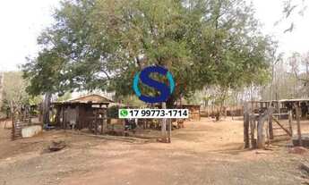 Imagem 5: Vende-se chácara de 20.000m em Indiaporã, SP