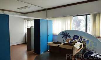 Imagem 4: Sala - Centro - Campinas