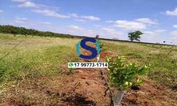 Imagem 6: Vende-se sitio de 8,5 alqueires no município de Turmalina